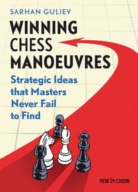 bokomslag Winning Chess Manoeuvres: Strategic Ideas That Masters Never Fail to Find