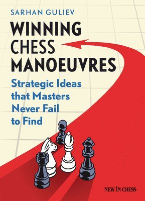 Winning Chess Manoeuvres: Strategic Ideas That Masters Never Fail to Find 1