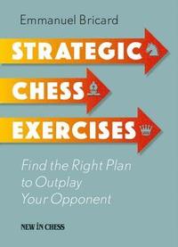 bokomslag Strategic Chess Exercises: Find the Right Way to Outplay Your Opponent