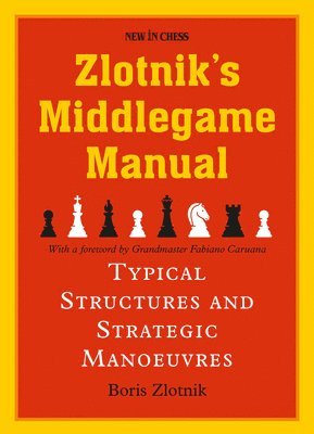 Zlotniks Middlegame Manual 1