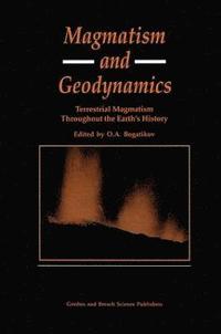 bokomslag Magmatism and Geodynamics