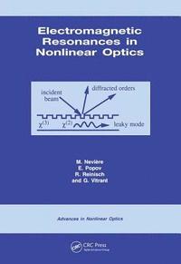 bokomslag Electromagnetic Resonances in Nonlinear Optics