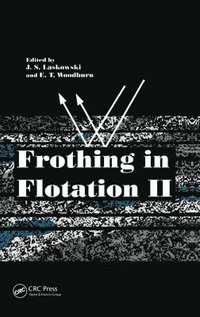 bokomslag Frothing in Flotation II