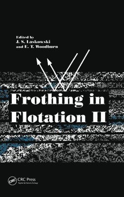 bokomslag Frothing in Flotation II