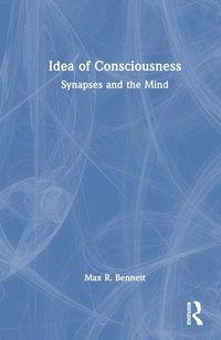 bokomslag Idea of Consciousness