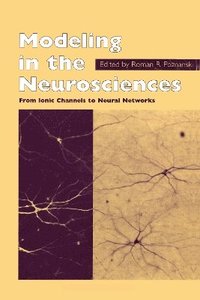 bokomslag Modeling in the Neurosciences