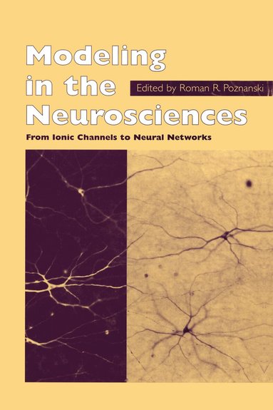 R.R. Poznanski - Modeling in the Neurosciences, Inbunden