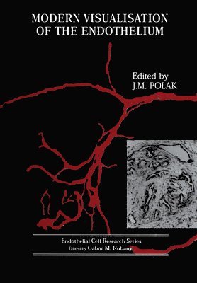 bokomslag Modern Visualisation of the Endothelium