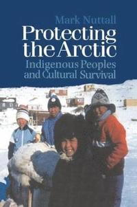bokomslag Protecting the Arctic: Indigenous Peoples and Cultural Survival