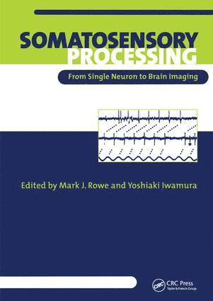 Mark Rowe, Yoshiaki Iwamura - Somatosensory Processing, Inbunden