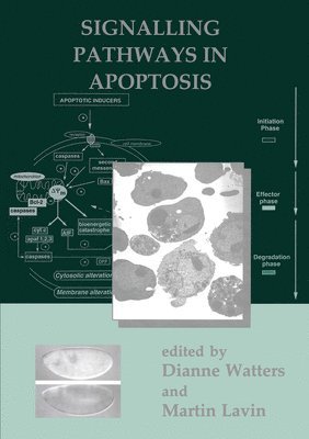 bokomslag Signalling Pathways in Apoptosis