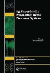 bokomslag Ig Superfamily Molecules in the Nervous System