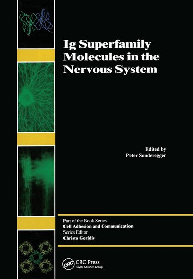 Peter Sonderegger - Ig Superfamily Molecules in the Nervous System, Inbunden
