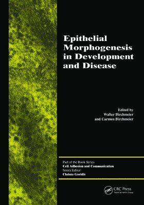 bokomslag Epithelial Morphogenesis in Development and Disease