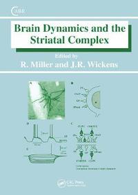 bokomslag Brain Dynamics and the Striatal Complex