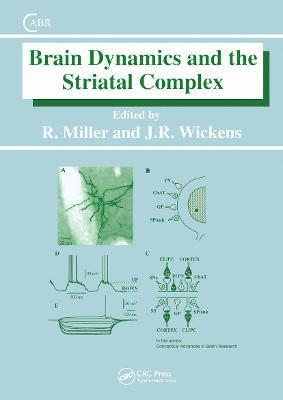 Brain Dynamics and the Striatal Complex 1