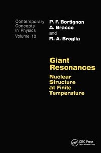 bokomslag Giant Resonances