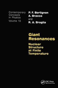 bokomslag Giant Resonances