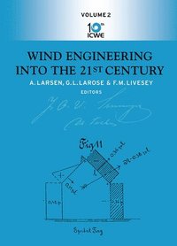 bokomslag Wind Engineering Into the 21st Century