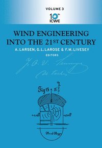 bokomslag Wind Engineering Into The 21st Century