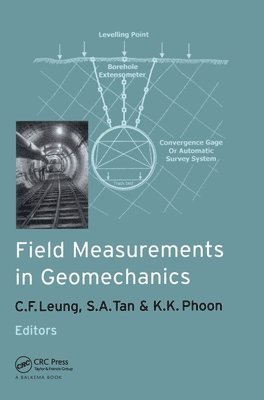 bokomslag Field Measurements in Geomechanics