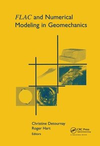 bokomslag FLAC and Numerical Modeling in Geomechanics