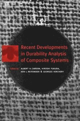 Recent Developments in Durability Analysis of Composite Systems 1