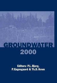 bokomslag Groundwater 2000