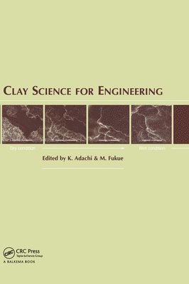 bokomslag Clay Science for Engineering