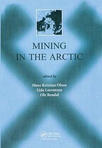 bokomslag Mining in the Arctic
