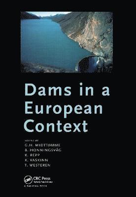 bokomslag Dams in a European Context