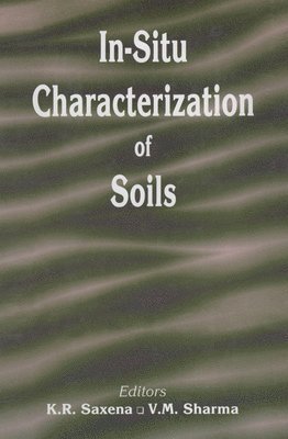 bokomslag In-situ Characterization of Soils