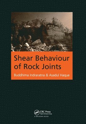 Shear Behaviour of Rock Joints 1