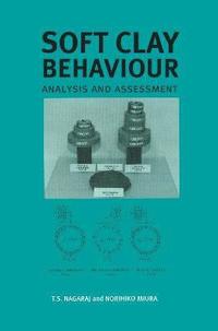 bokomslag Soft Clay Behaviour Analysis and Assessment