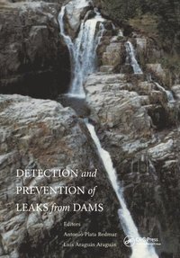 bokomslag Detection and the Prevention of Leaks from Dams