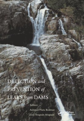 Detection and the Prevention of Leaks from Dams 1