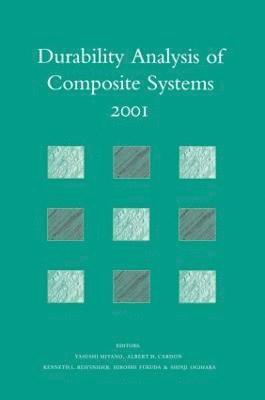 Durability Analysis of Composite Systems 2001 1