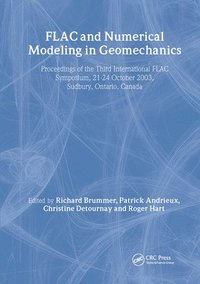 bokomslag FLAC and Numerical Modeling in Geomechanics 2003
