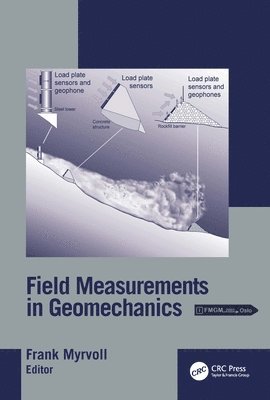 bokomslag Field Measurements in Geomechanics