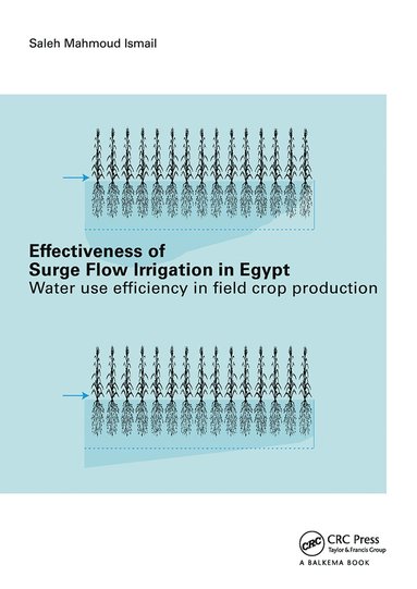 bokomslag Effectiveness of Surge Flow Irrigation in Egypt