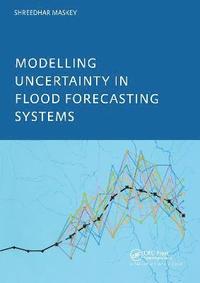 bokomslag Modelling Uncertainty in Flood Forecasting Systems