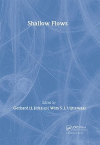 bokomslag Shallow Flows