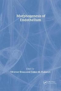 bokomslag Morphogenesis of Endothelium