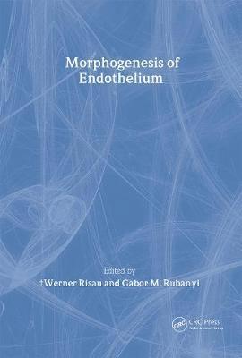 Morphogenesis of Endothelium
