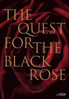 Quest for the Black Rose 1