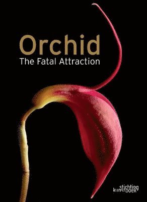 Anne Ronse - Orchid the Fatal Attraction, Inbunden