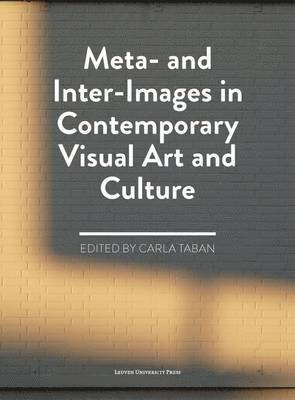bokomslag Meta- and Inter-Images in Contemporary Visual Art and Culture