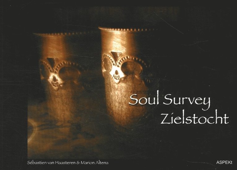 Sebastian van Haasteren, Marion Altena - Soul Survey / Zielstocht, Häftad