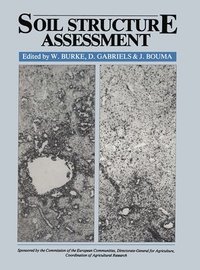 bokomslag Soil Structure Assessment