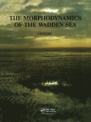 bokomslag Morphodynamics of the Wadden Sea